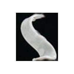 Flexible UHF RFID Laundry Tag, 2m Range, Heat Seal for Inventory Management - Hospitality Enviro Tech